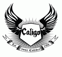 CALIGO 2023 Management Fest Poster